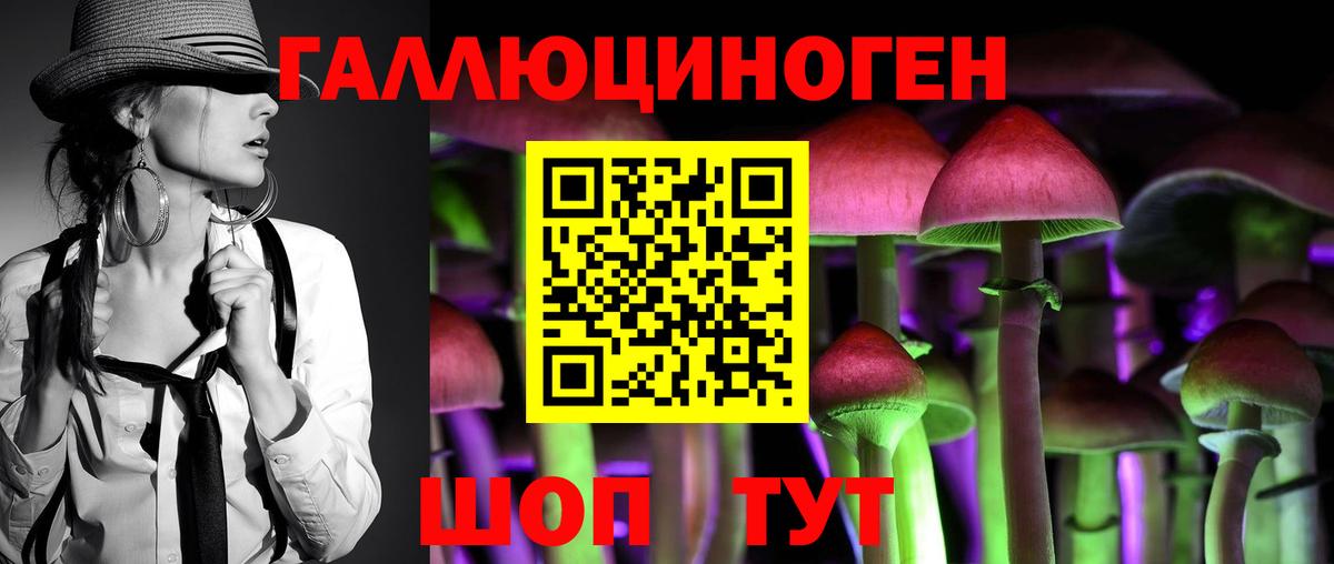 Галлюциногенные грибы мицелий Черняховск