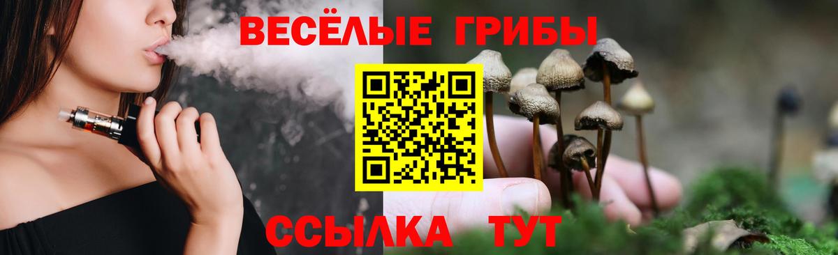 даркнет сайт  Вход с VPN  Черняховск  Псилоцибиновые грибы MAGIC MUSHROOMS  Псилоцибиновые грибы мухоморы 